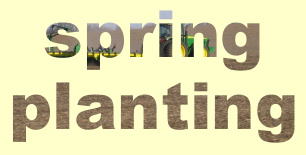 Spring Planting